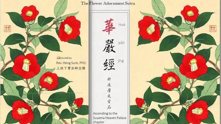 289234826 438504431615188 265248809451133142 n