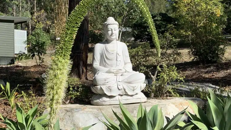 Buddha in White Marble Near Lotus Pond