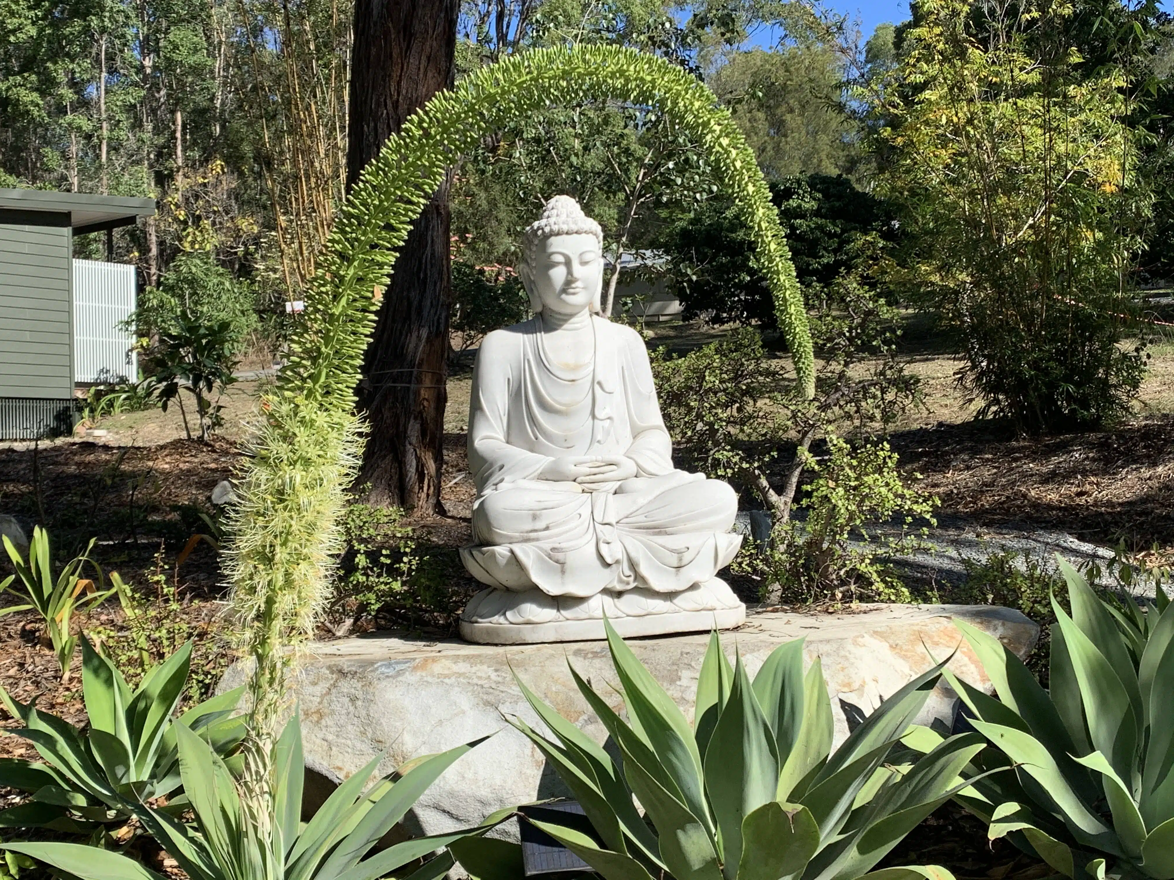 Buddha in White Marble Near Lotus Pond scaled