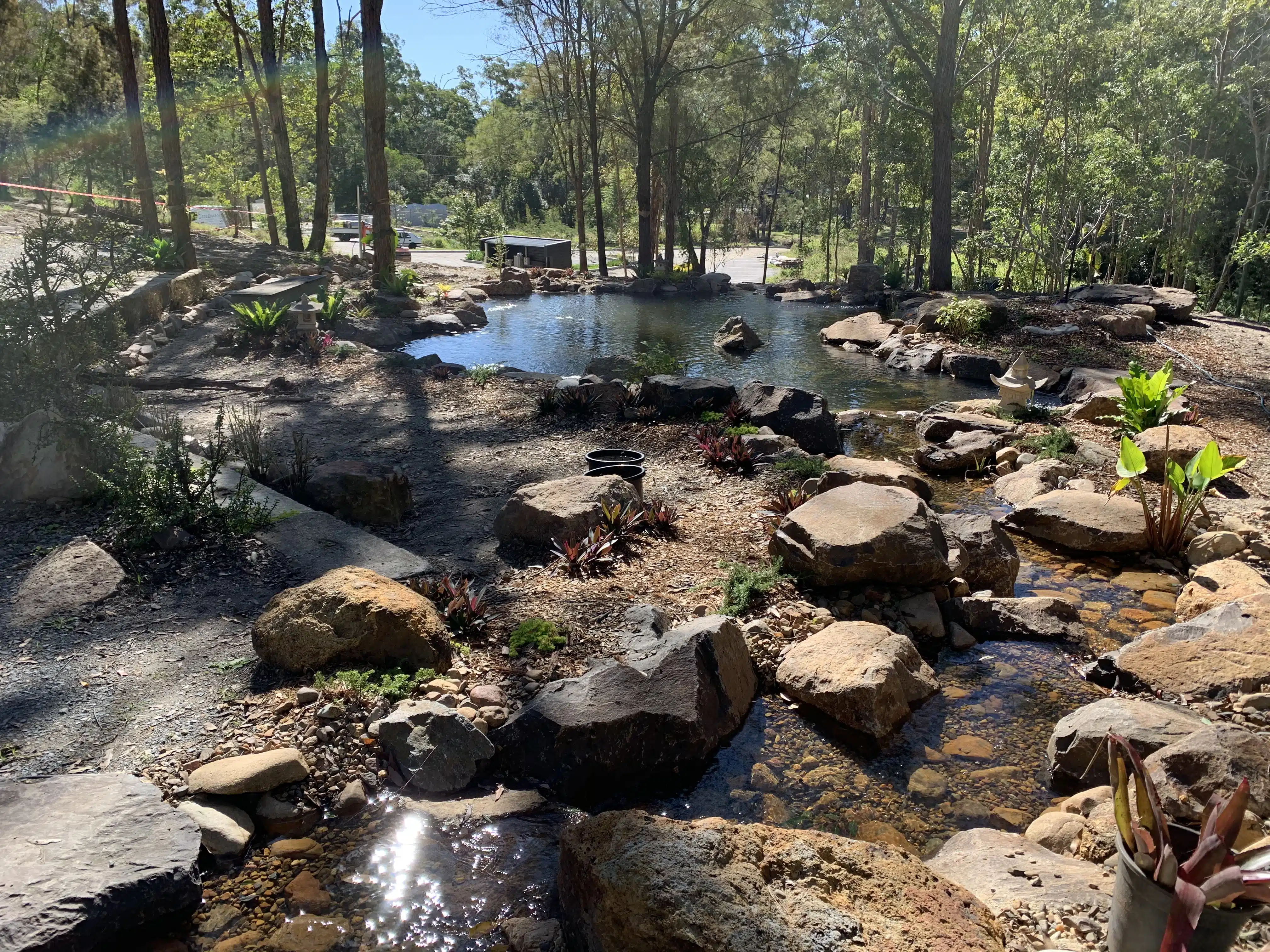 Lotus Pond overview scaled