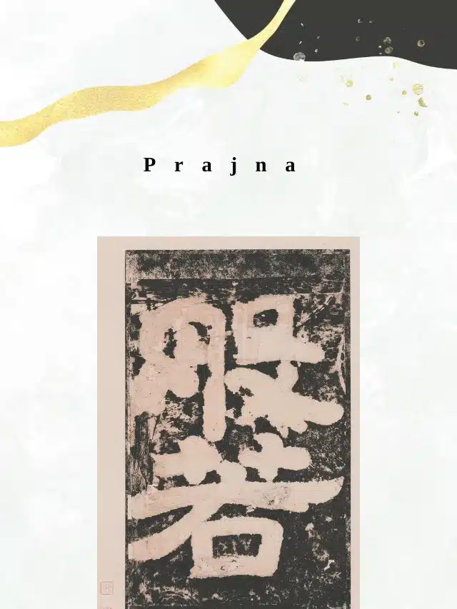 show 531635602 1713930513971 slice 0